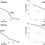 Article teaser image