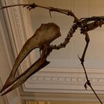 Article teaser image