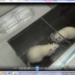 Article teaser image