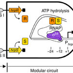 Article teaser image