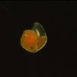 Article teaser image