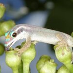 Article teaser image