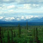 Article teaser image