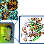 Article teaser image