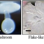 Article teaser image