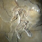 Article teaser image