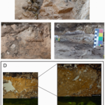 Article teaser image