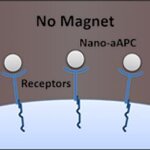 Article teaser image