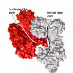 Article teaser image