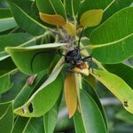 Article teaser image