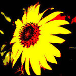 Article teaser image