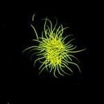 Article teaser image