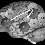 Article teaser image