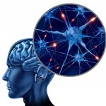 Article teaser image