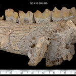 Article teaser image