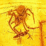 Article teaser image