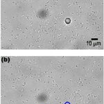 Article teaser image