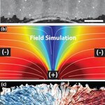 Article teaser image