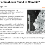 Article teaser image