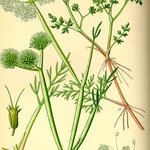 Article teaser image