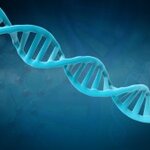 Article teaser image