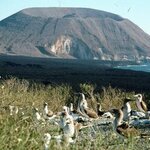 Article teaser image