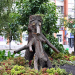 Article teaser image