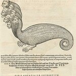 Article teaser image