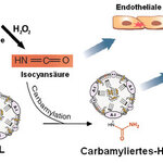 Article teaser image