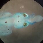 Article teaser image