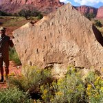 Article teaser image