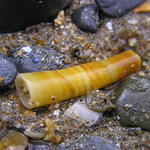 Article teaser image