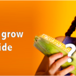 Article teaser image