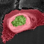 Article teaser image