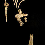 Article teaser image