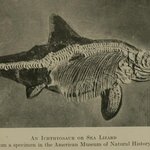 Article teaser image