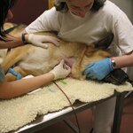 Article teaser image