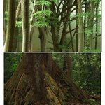 Article teaser image