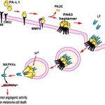 Article teaser image