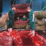 Article teaser image