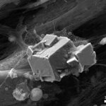 Article teaser image