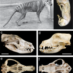 Article teaser image