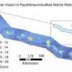 Article teaser image