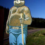 Article teaser image