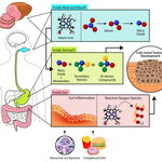 Article teaser image
