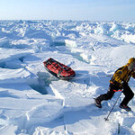 Article teaser image