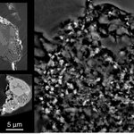 Article teaser image