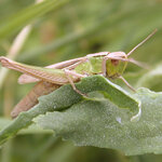 Article teaser image