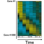 Article teaser image