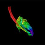 Article teaser image